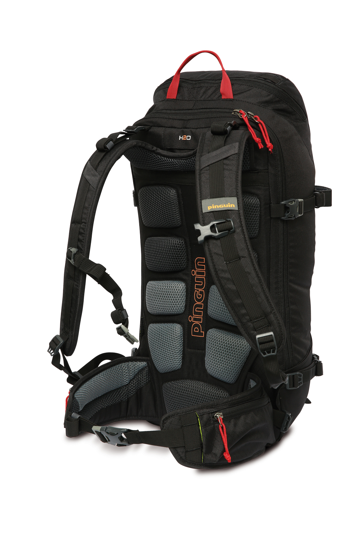 Backpack Ridge 28 - back