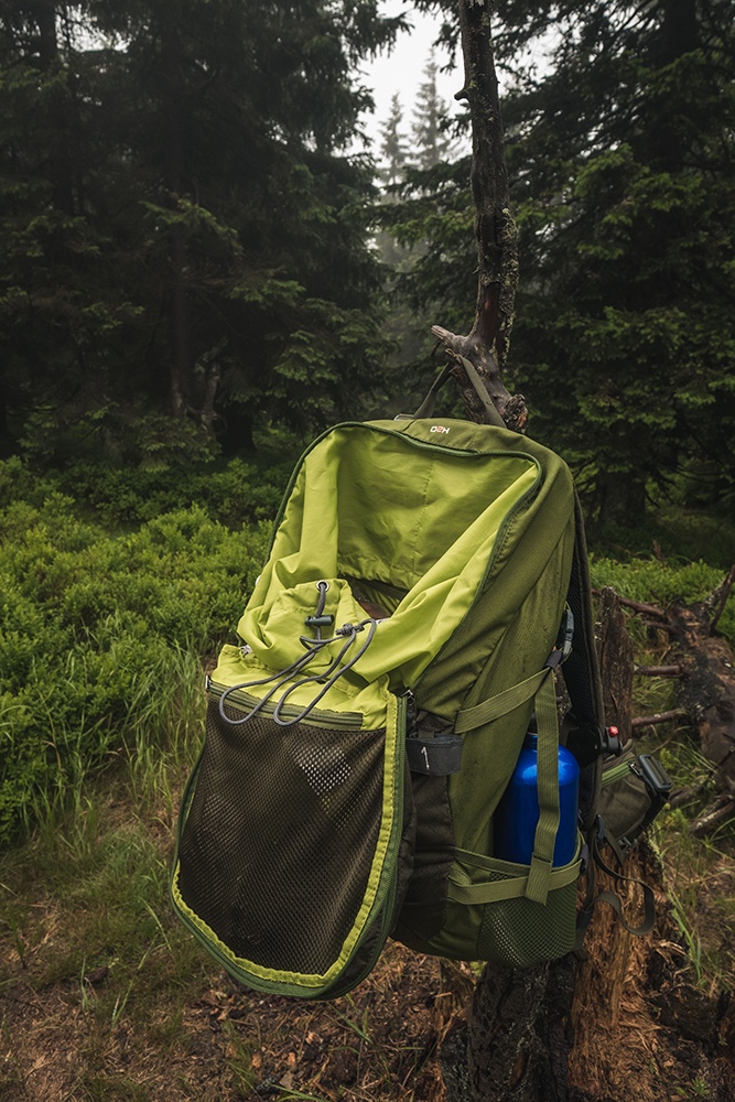 Trail 42, hanging on the tree